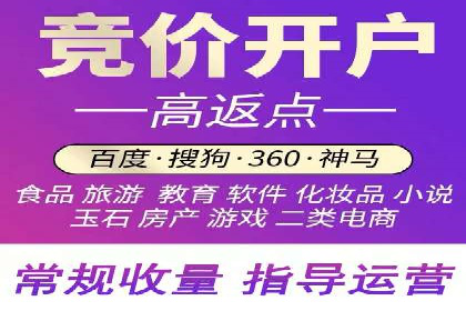 百度竞价推广在电商领域的赚钱案例